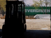 Evergreen Thumb